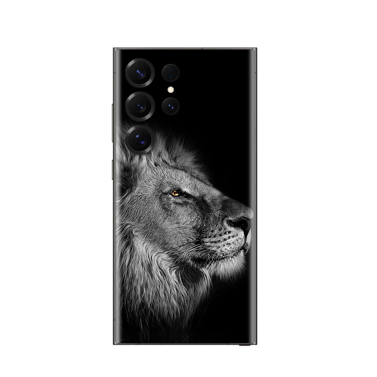 Samsung Galaxy Skins 175 Skin+Case